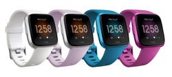 Fitbit Versa Watch Lite Edition