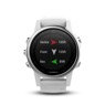 Garmin fenix 5s silver