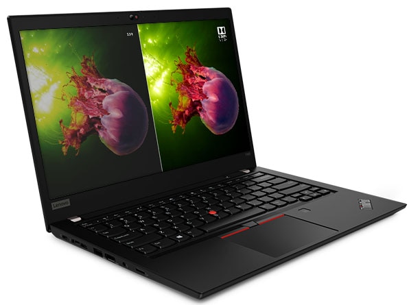 ThinkPad T490