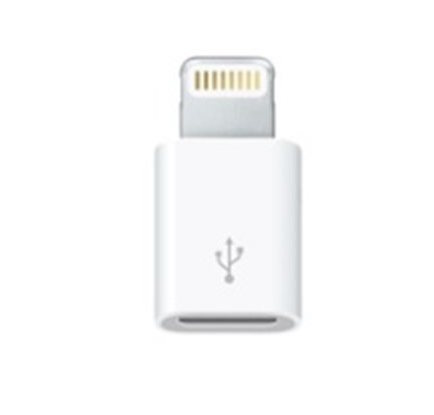 Lightning to Micro USB Adapter