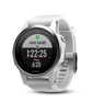 Garmin fenix 5s silver